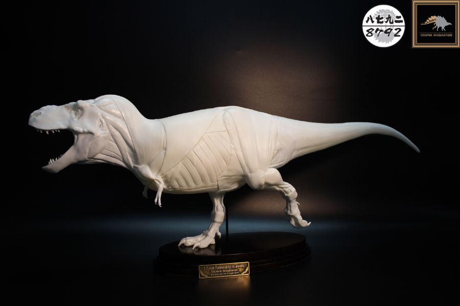 티라노사우루스 렉스 해부도 모형 완성 !_7.jpg