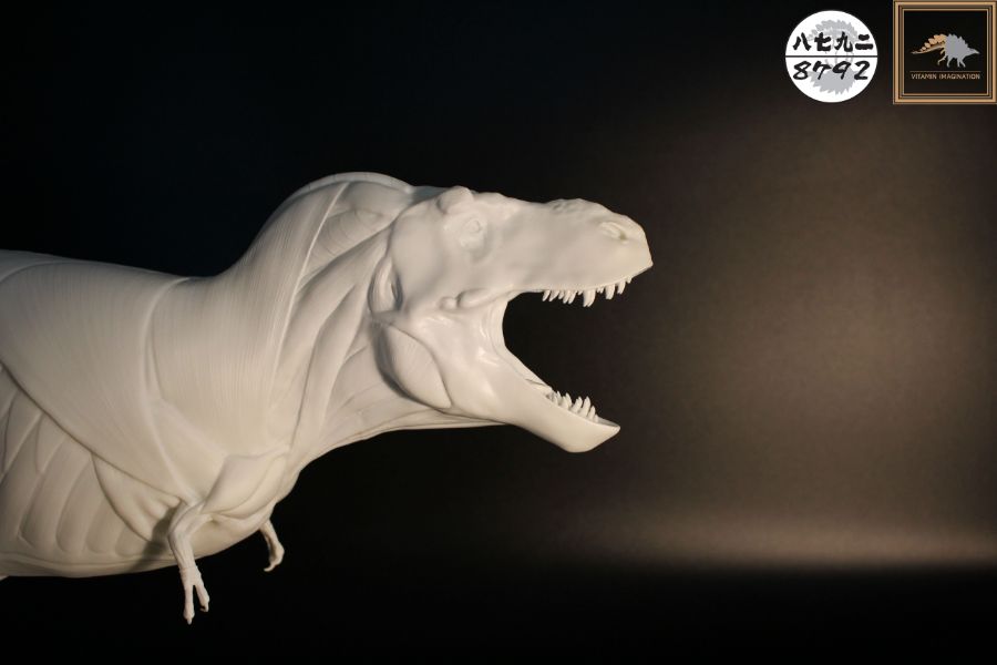 티라노사우루스 렉스 해부도 모형 완성 !_13.jpg