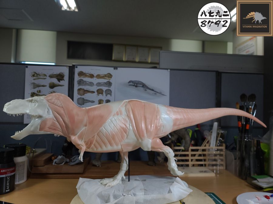 티라노사우루스 렉스 해부도 모형 완성 !_15.jpg