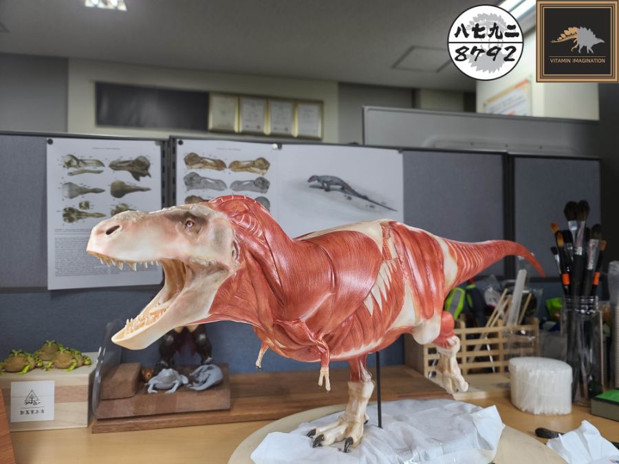 티라노사우루스 렉스 해부도 모형 완성 !_19.jpg