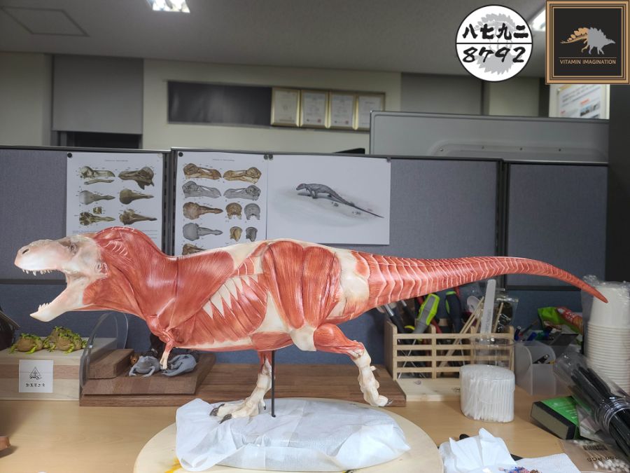 티라노사우루스 렉스 해부도 모형 완성 !_20.jpg