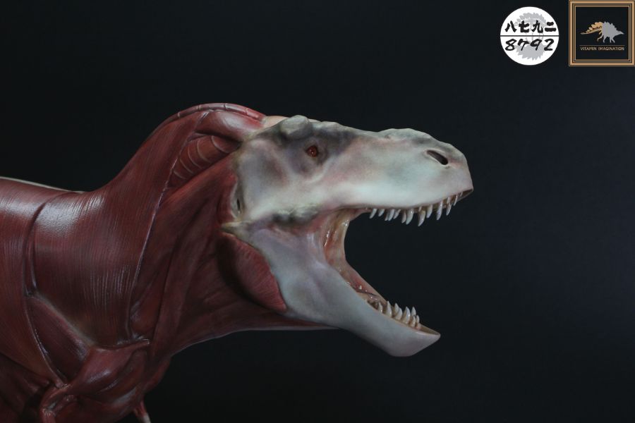 티라노사우루스 렉스 해부도 모형 완성 !_23.jpg