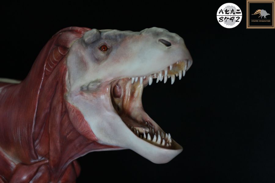 티라노사우루스 렉스 해부도 모형 완성 !_25.jpg