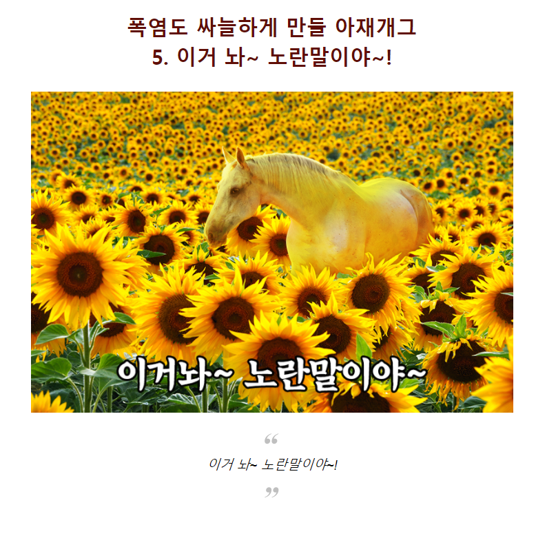 노란말.png