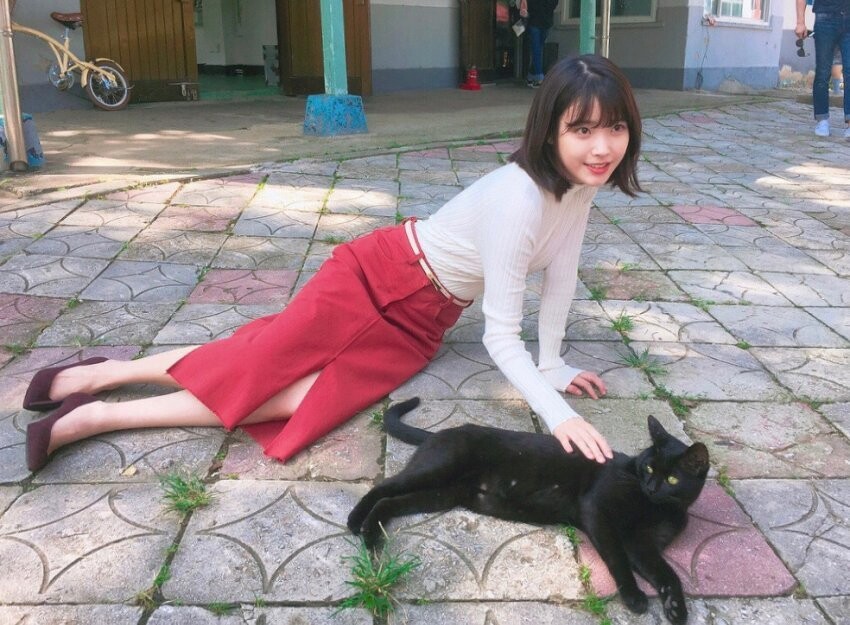 아이유) 단발머리 모음_7.jpg