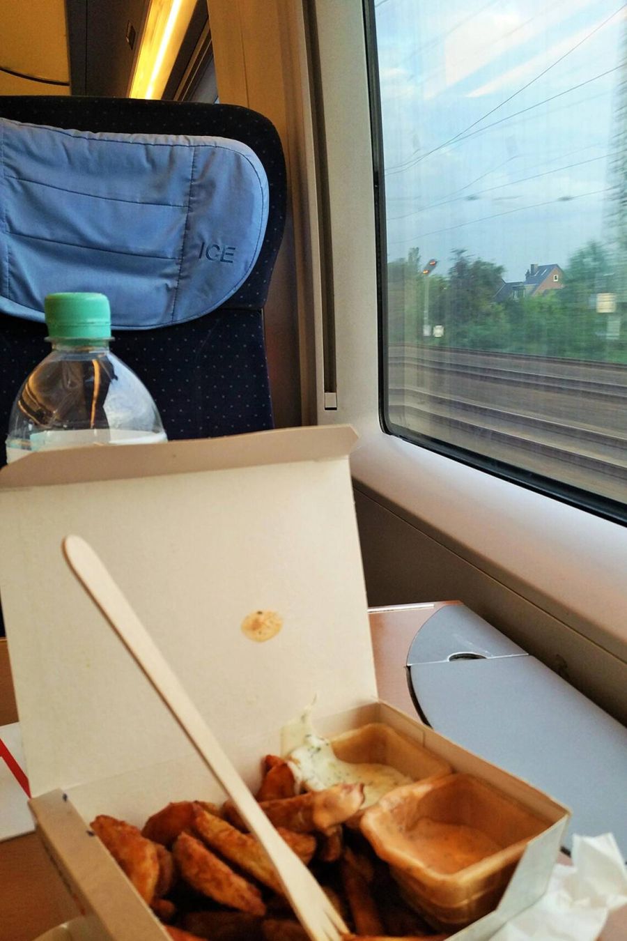 비싼 월세땜에 기차에서 생활했던 독일 여대생_9.jpg