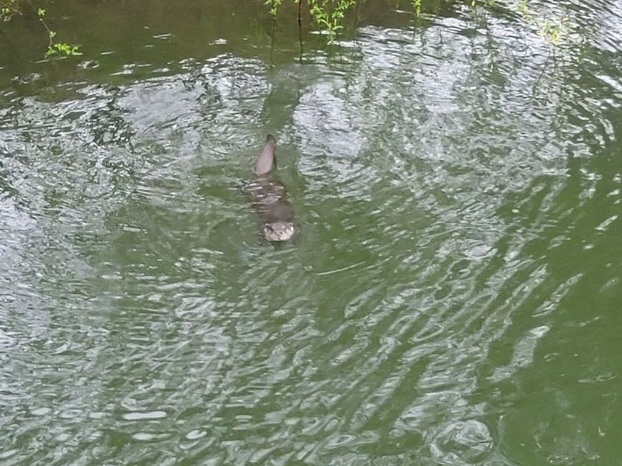 강원도 한 대학 에타 난리남.jpg_1.jpg