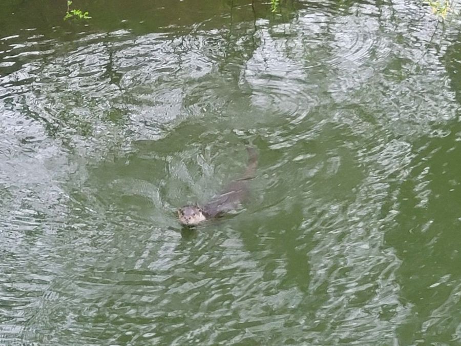 강원도 한 대학 에타 난리남.jpg_2.jpg
