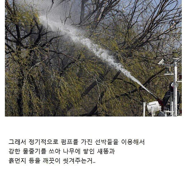 서울 한강에 있는 무인도.jpg_8.jpg