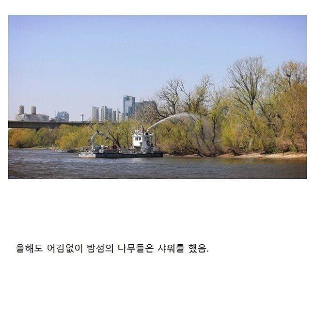 서울 한강에 있는 무인도.jpg_9.jpg
