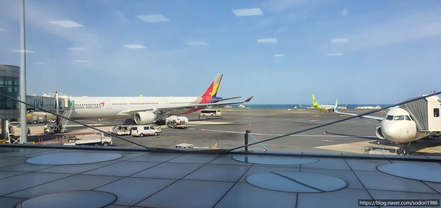 2021년 4월 제주도 당일치기 여행(왕복 비즈니스석/사진 30장)_5.jpg