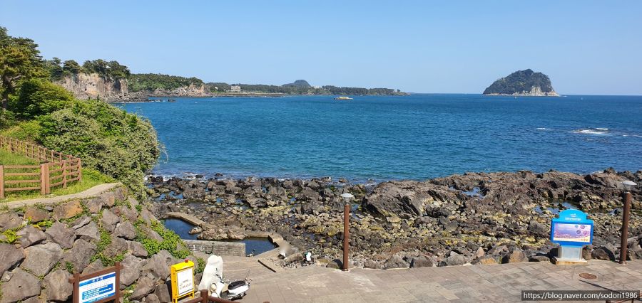 2021년 4월 제주도 당일치기 여행(왕복 비즈니스석/사진 30장)_21.jpg