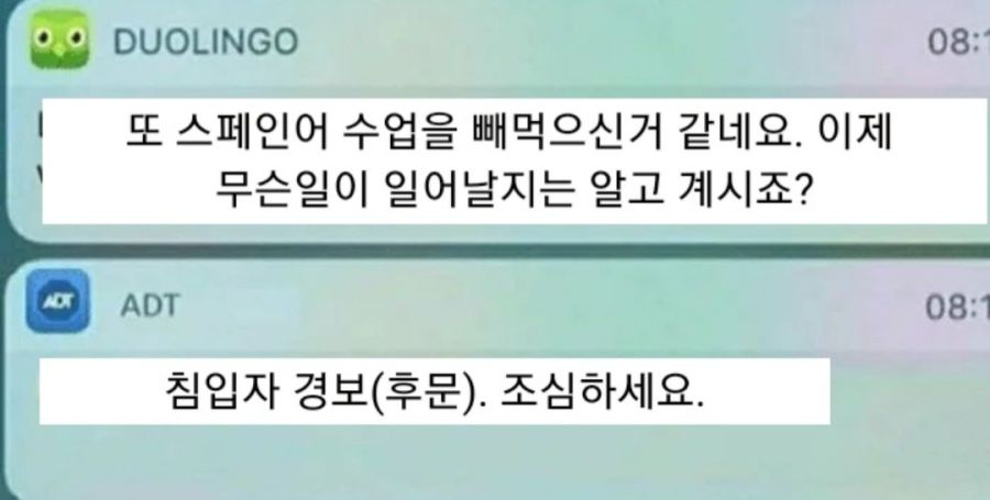 스페인어 수업 탈주하면 생기는 일_1.jpg