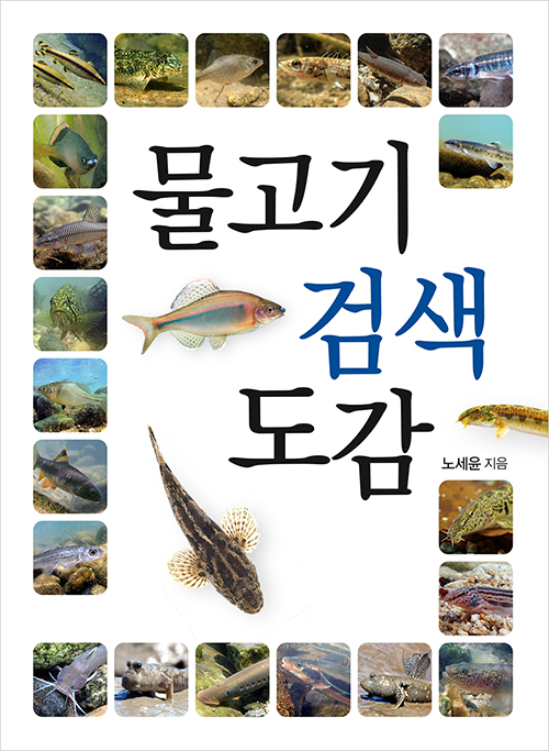 버들151 이미지