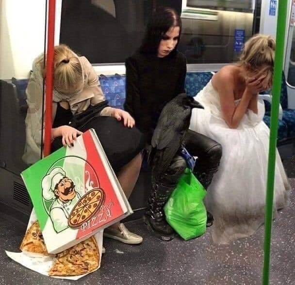 의문투성이 짤_1.jpg