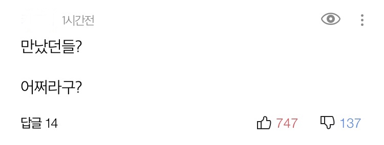 김부선 기사에 베스트 댓글 수준_1.jpeg