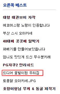 드디어 꽃밭이된 우리집..._1.png