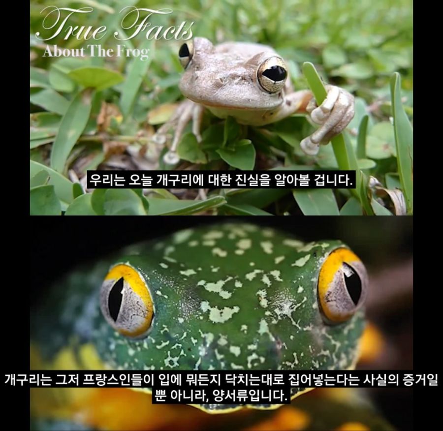 서양에서 프랑스인의 이미지.jpg_1.jpg