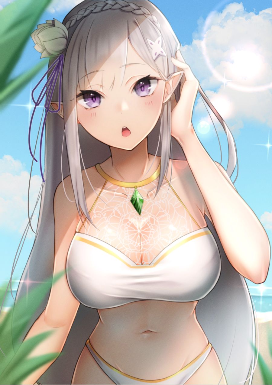 Emilia-(re-zero)-Re-Zero-Kara-Hajimeru-Isekai-Seikatsu-Anime-skoll-world-6675243.jpeg