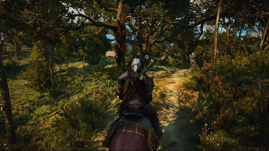 witcher3 2021-05-15 02-42-12.png