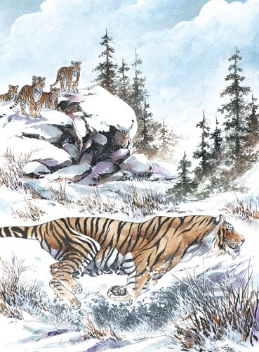 종이만화) 호랑이 만화 최고봉_4.jpg