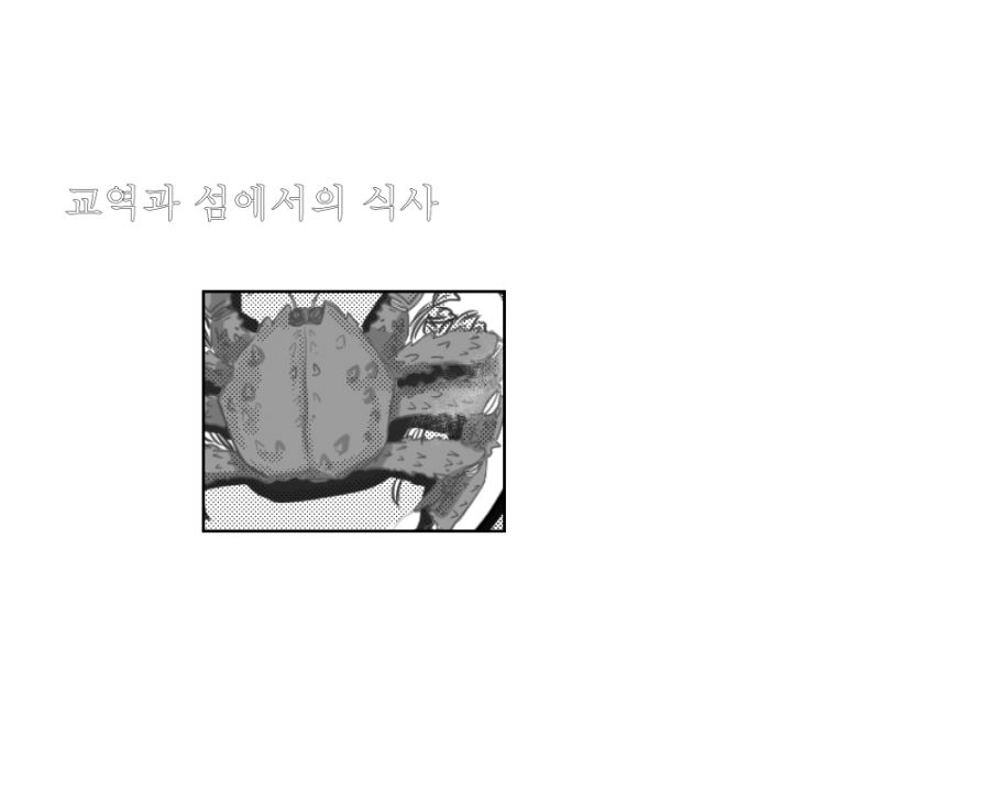 (패러디/스압?)고독한 마비노기_18.png