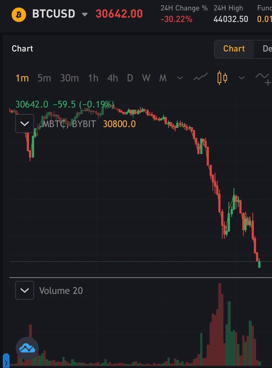 비트코인 갤러리 현재상황