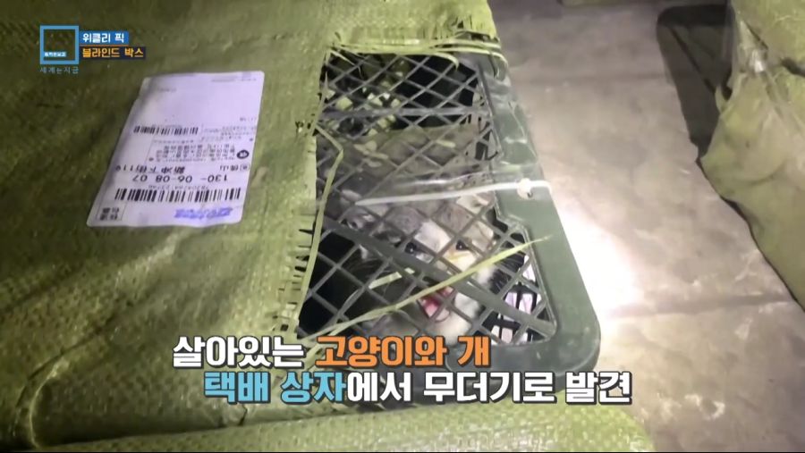 중국에서 유행하는 랜덤박스.jpg_4.jpg