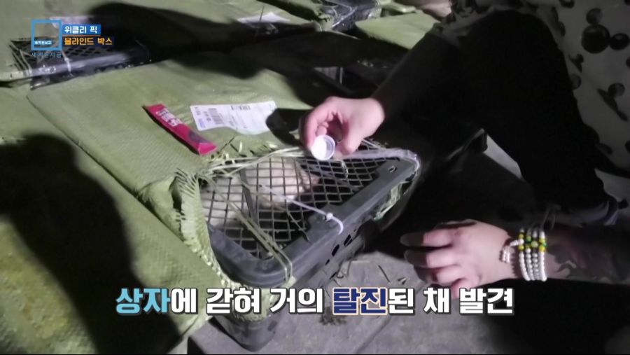 중국에서 유행하는 랜덤박스.jpg_7.jpg
