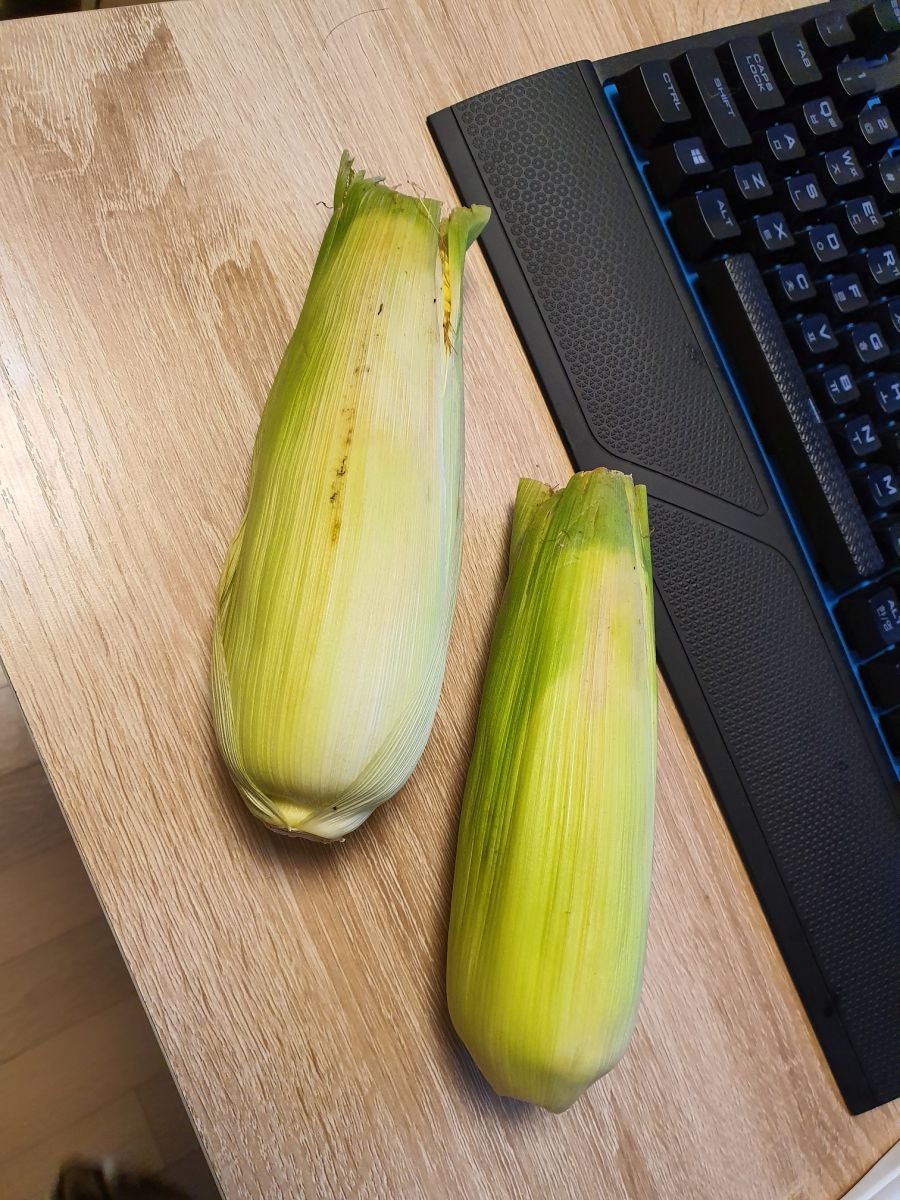 초당옥수수 버터 구이_2.jpg