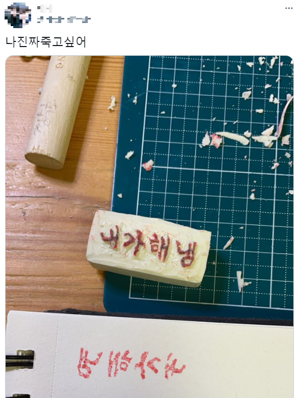 "내가 해냄" 자작 도장 대참사_2.png