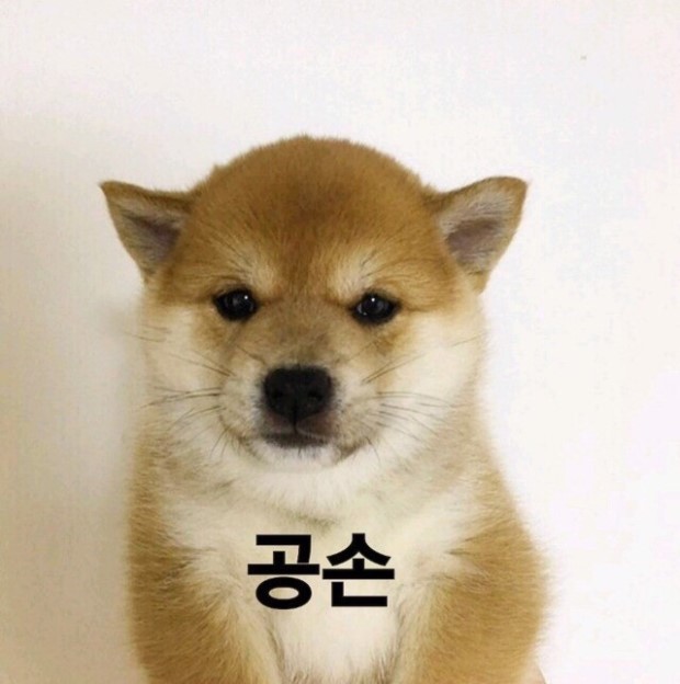 폴드3은 포기하고 노트 20 중고나 살까_1.jpg