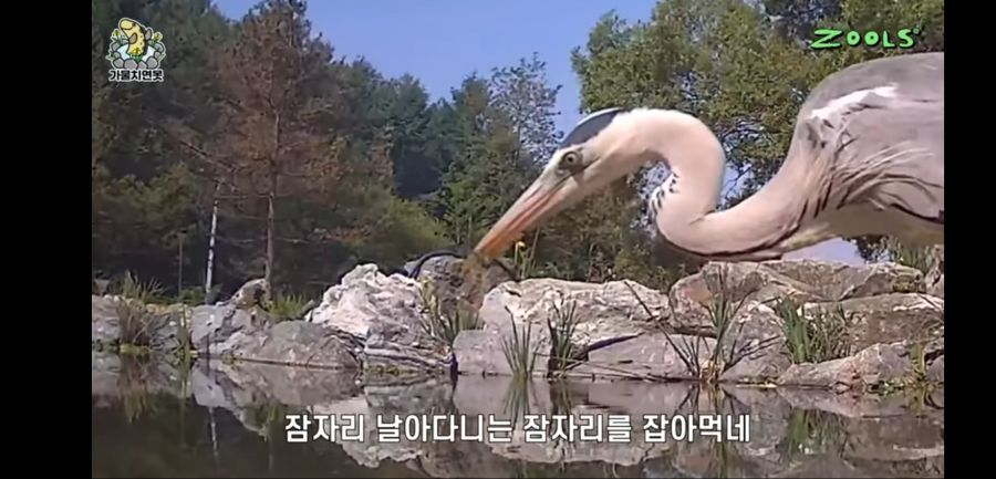 유튜브 망하게 생긴 유튜버_5.jpg