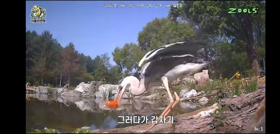 유튜브 망하게 생긴 유튜버_8.jpg