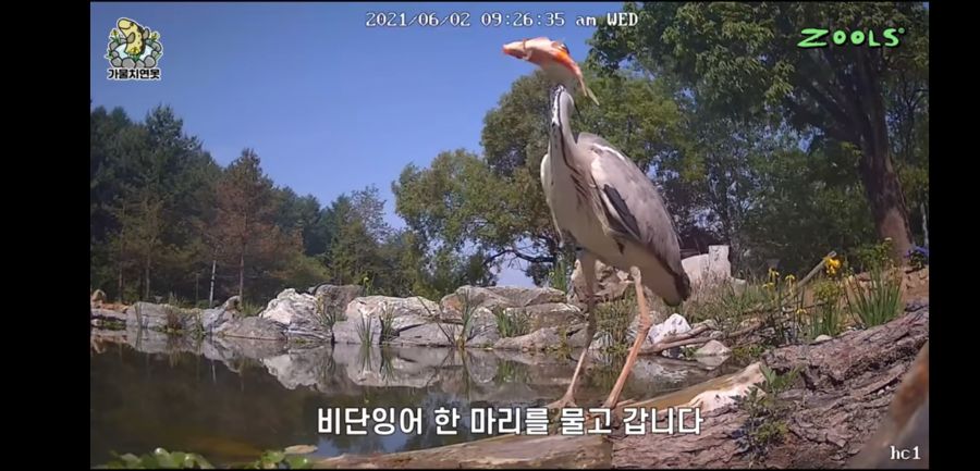 유튜브 망하게 생긴 유튜버_10.jpg