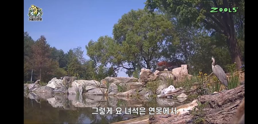 유튜브 망하게 생긴 유튜버_11.jpg