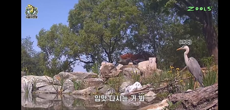 유튜브 망하게 생긴 유튜버_13.jpg