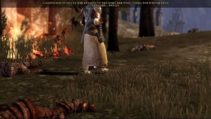 드래곤 에이지 오리진스_10.jpg