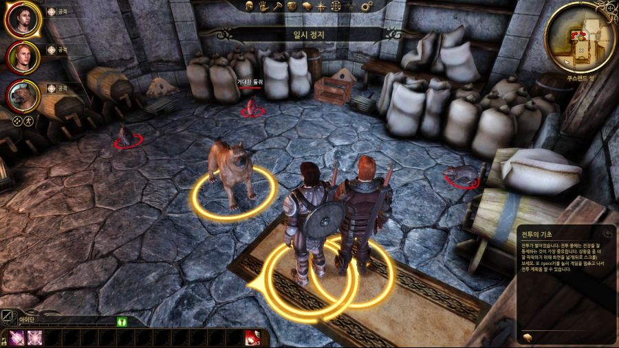 드래곤 에이지 오리진스_26.jpg