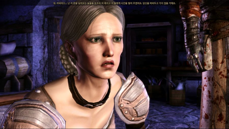 드래곤 에이지 오리진스_39.jpg