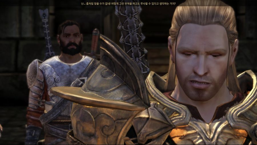 드래곤 에이지 오리진스_45.jpg