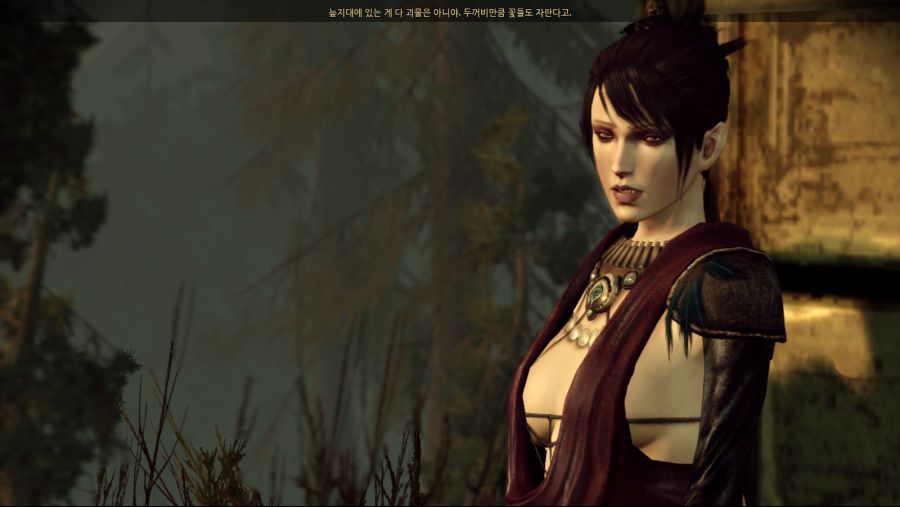 드래곤 에이지 오리진스_57.jpg