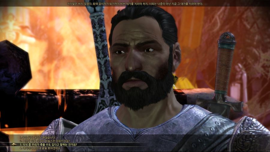 드래곤 에이지 오리진스_59.jpg