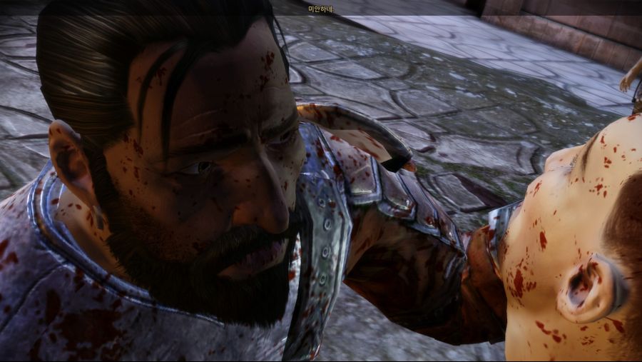 드래곤 에이지 오리진스_63.jpg