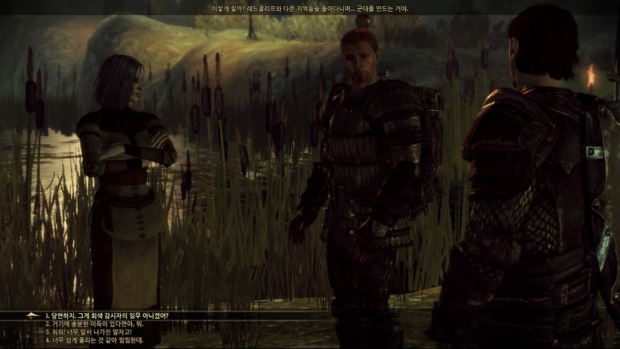 드래곤 에이지 오리진스_80.jpg