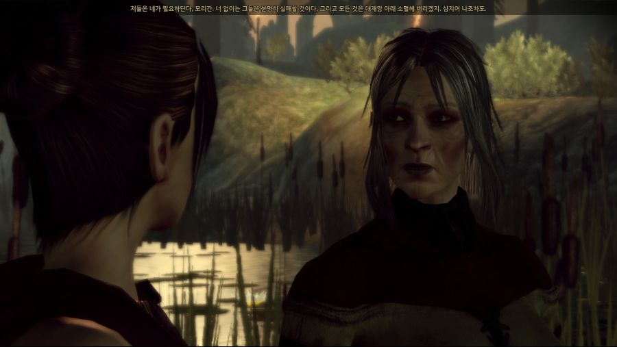 드래곤 에이지 오리진스_81.jpg