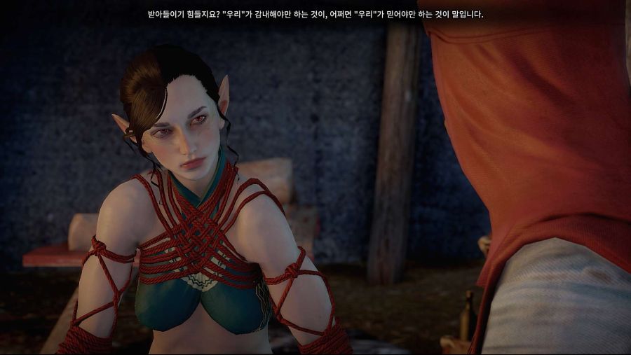 수정됨_Dragon Age Inquisition Screenshot 2021.06.11 - 22.22.05.71.jpg