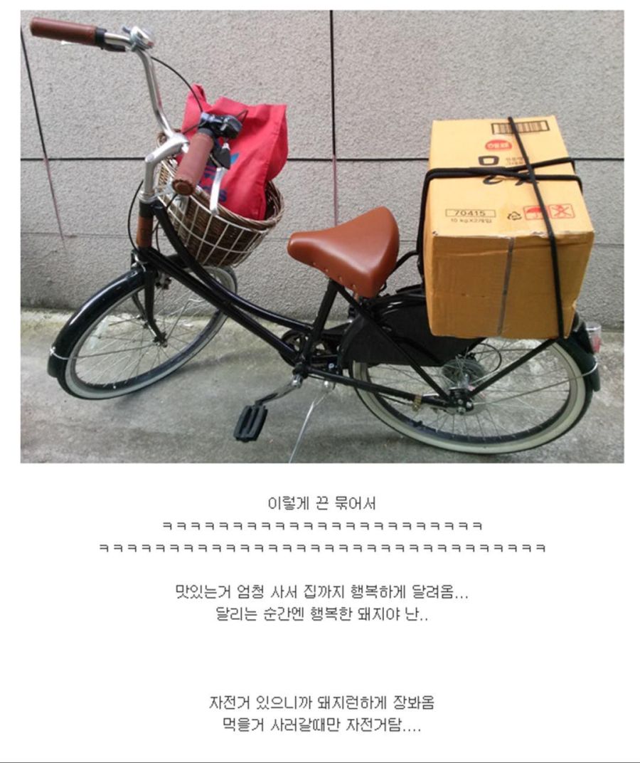 다이어트 하려고 자전거 산 후기.jpg_5.jpg