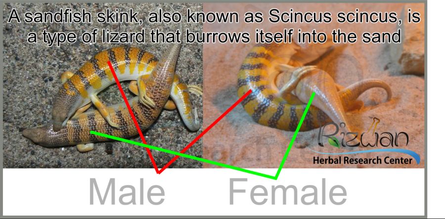 양서파충류) 현실에도 델크스가 존재한다? 질문받는다_2.png