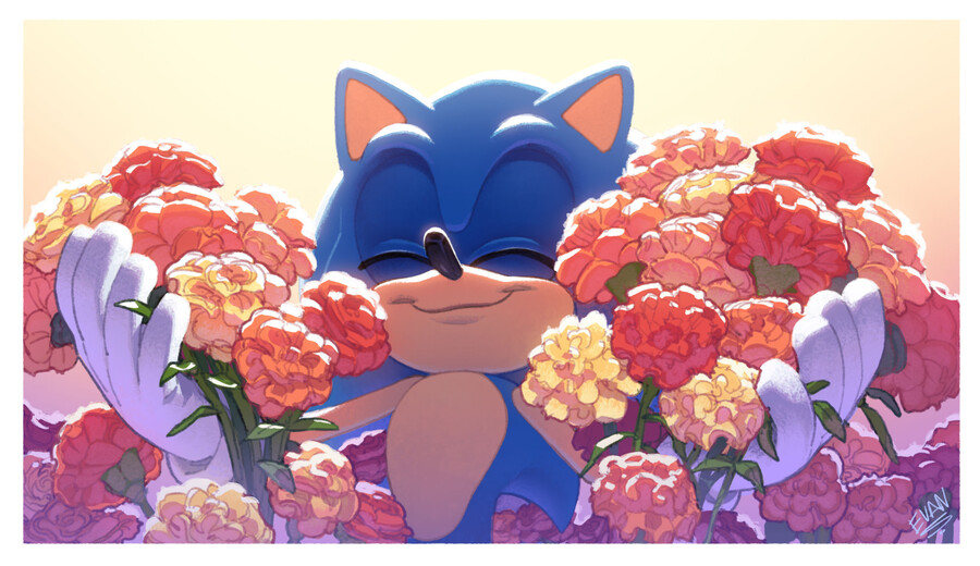 30살 먹은 소닉짤_1.png